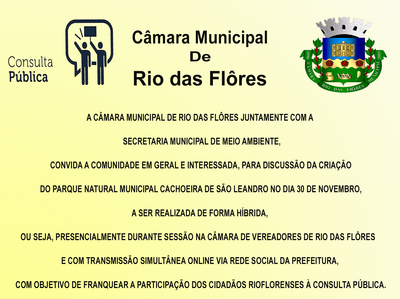 Consulta Pública